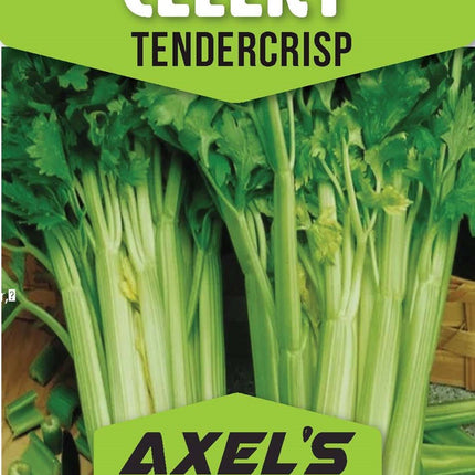Tendercrisp Celery Seeds for Planting - Non GMO Heirloom Vegetable Seeds