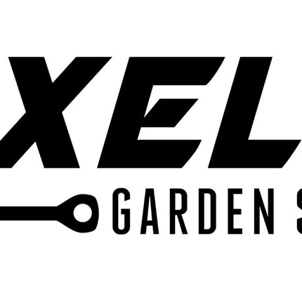 Morning Glory Mixed Flower Seeds | Non-Gmo | Heirloom | Fresh Garden Seeds