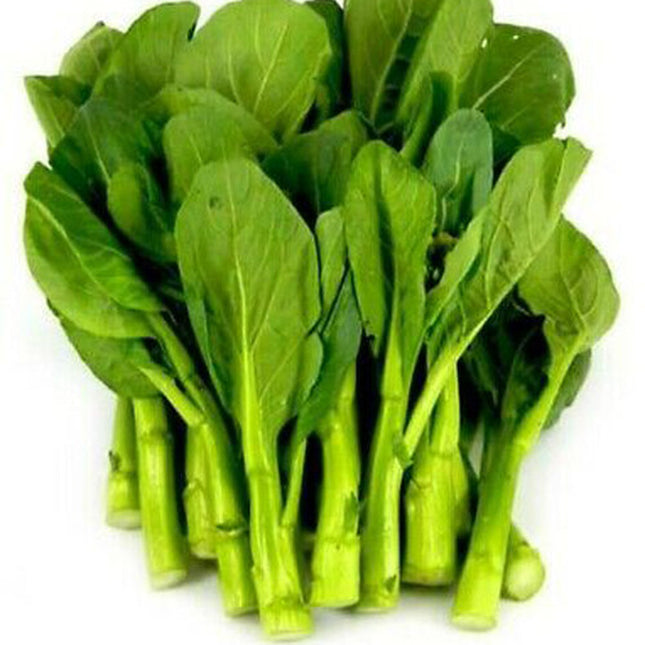 200+ Seeds Asian Yu Choy Choi Sum Choy Sum Chinese Flowering Cabbage Veggies USA