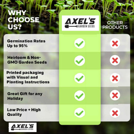 Spicy Salad Microgreen Seeds - Non GMO Heirloom High Germination - Fast Shipping