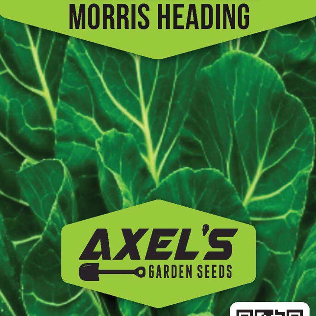 Morris Heading Collard Seeds | Non-Gmo | Heirloom | Fresh Garden Seeds