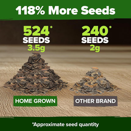 Zinnia Dahlia Seeds Pack- Bulk Flower Seeds to Plant outside for Vibrant Blooms,