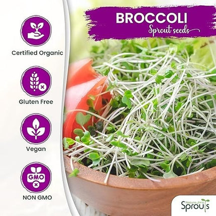 Organic Broccoli MICROGREEN Seeds | Heirloom Non GMO Sprouting Seeds