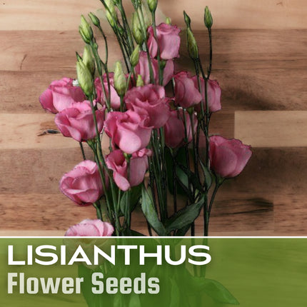 Lisianthus Seeds - 100 Seeds Garden Bloom Flower Seed Flowers Non Gmo Heirloom