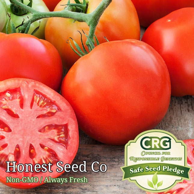 100+ Beefsteak Heirloom Tomato Seeds | Non-Gmo Vegetable Seeds USA