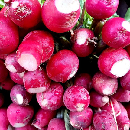 Cherry Belle Radish Seeds - Heirloom & Non-Gmo - Fast Growing High Germination