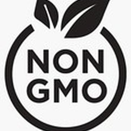 SHASTA DAISY Chrysanthemum Perennial Heirloom Flower Meadow Non-Gmo 500 Seeds!