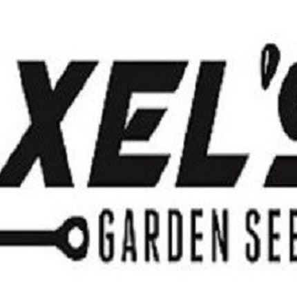 Organic Broccoli Seeds | Heirloom | Non-Gmo | Fresh Garden Seeds