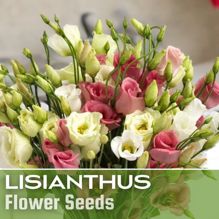 Lisianthus Seeds - 100 Seeds Garden Bloom Flower Seed Flowers Non Gmo Heirloom