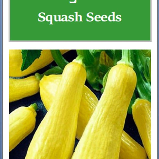 Straightneck Squash Seeds | NON-GMO Squash Seeds | Fresh Heirloom Garden Seeds
