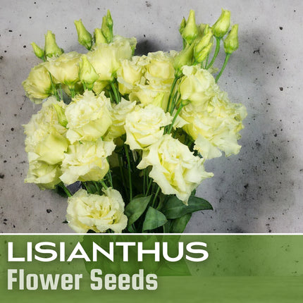 Lisianthus Seeds - 100 Seeds Garden Bloom Flower Seed Flowers Non Gmo Heirloom