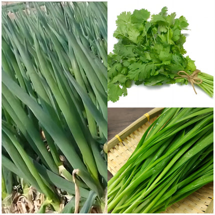 Atlas Vegetable Seeds Survival Garden Kit - over 50,000 Seeds, 29 Varieties