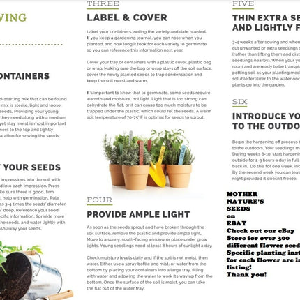 Columbine MCKANA GIANT Mix Perennial Hummingbirds Butterflies Non-Gmo 500 Seeds