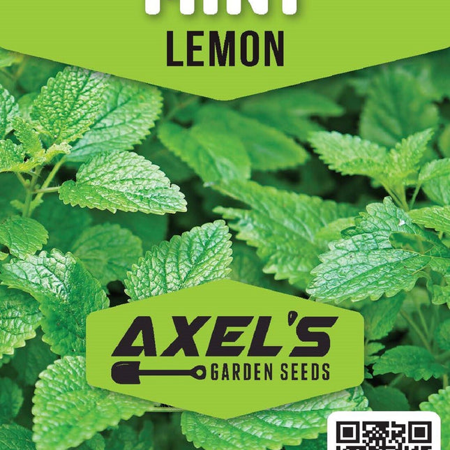 Lemon Mint Seeds | Non-Gmo | Heirloom | Fresh Herb Garden Seeds