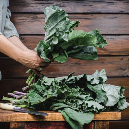 Georgia Southern Collard Heirloom Non GMO Seeds