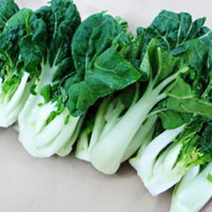 200+ Seeds Canton Pak Choi Chinese Cabbage Bokchoy Napa Cabbage Siu Bok Choy USA
