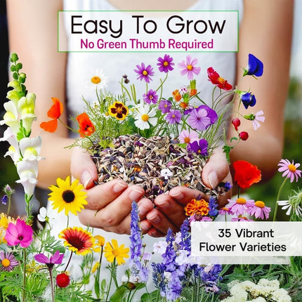 85,000 Wildflower Seeds, 35 Varietiey Wild Flowers Bulk Flower Seeds, Mix of Ann
