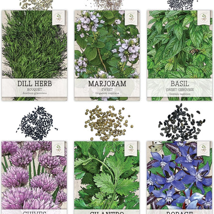 Herb Seeds Variety Pack Culinary Garden Starter Collection