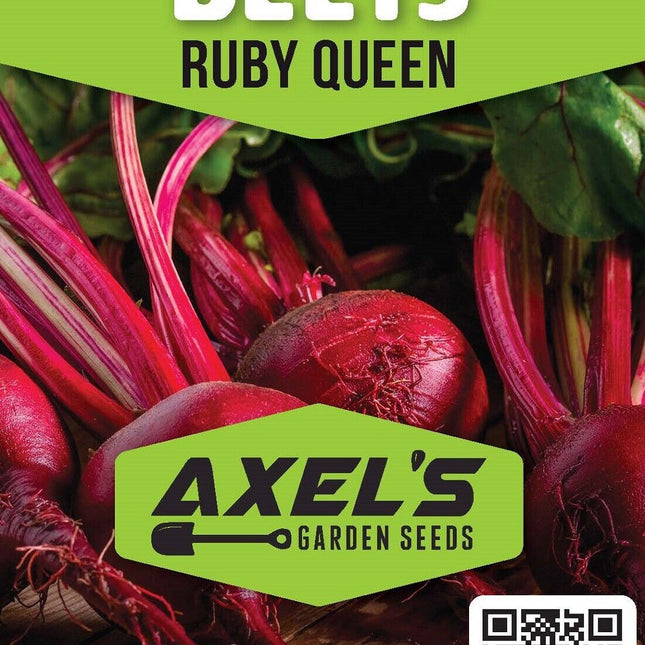 Ruby Queen Beet Seeds | Non-Gmo | Heirloom | Fresh Garden Seeds