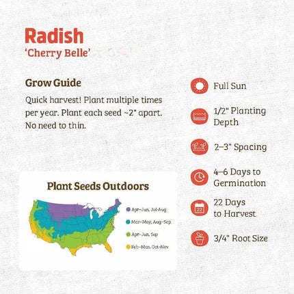 Cherry Belle Radish Seeds - Heirloom & Non-Gmo - Fast Growing High Germination