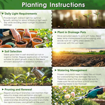 200Pcs Mixed Hosta Seeds for Planting Colorful Hosta Plant Seeds Perennial