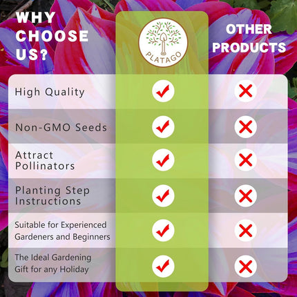 Hosta Seeds Perennial Hosta Plants Grow Easily Rare Blue Purple Hosta Bulb Seeds