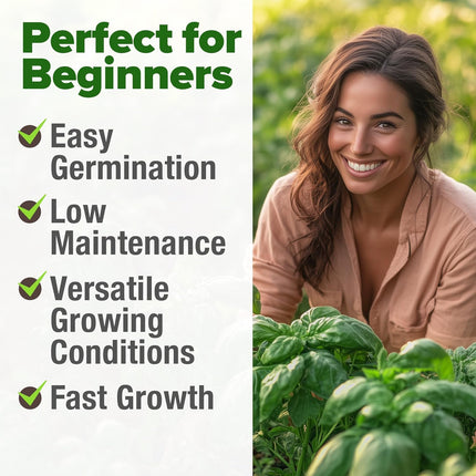 Italian Basil Seeds (Bulk Pack) 1424 Sweet Large Leaf Basil Seeds for Planting