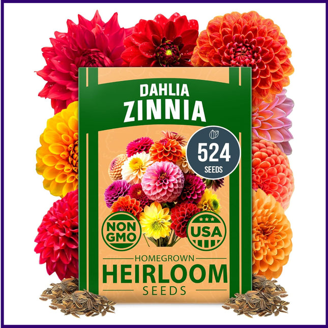 Zinnia Dahlia Seeds Pack- Bulk Flower Seeds to Plant outside for Vibrant Blooms,