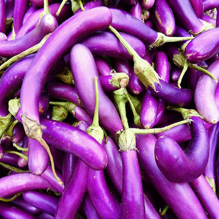 Eggplant Seeds Long Purple Asian Heirloom Non-Gmo Vegetable Drough Resistant