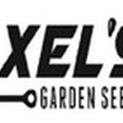 Organic Broccoli Seeds | Heirloom | Non-Gmo | Fresh Garden Seeds