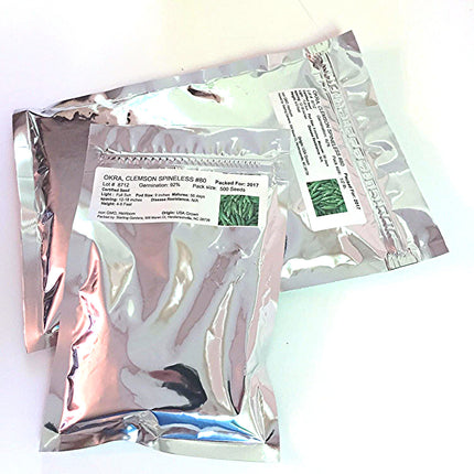 Silver Queen Corn Seed, USA Grown, Untreated Seed, NON GMO, 50 Seeds