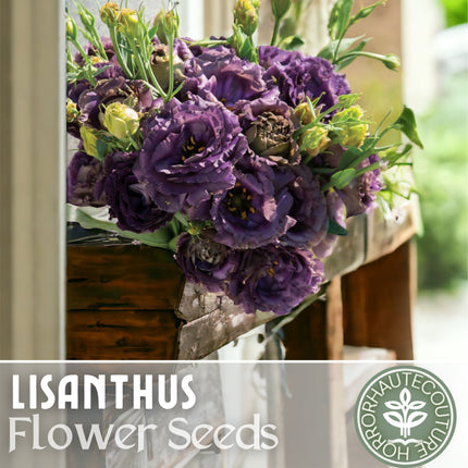 Lisianthus Seeds - 100 Seeds Garden Bloom Flower Seed Flowers Non Gmo Heirloom