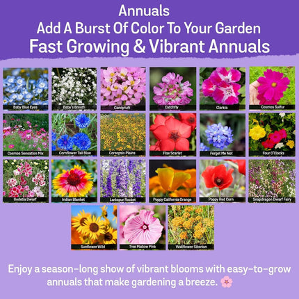 85,000 Wildflower Seeds, 35 Varietiey Wild Flowers Bulk Flower Seeds, Mix of Ann