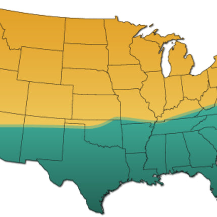 Bermuda Grass Seed, Unhulled, Coated, (1 Lb. Pack), Drought Tolerant Lawn Seed