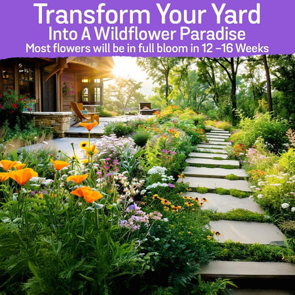85,000 Wildflower Seeds, 35 Varietiey Wild Flowers Bulk Flower Seeds, Mix of Ann